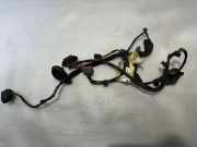 Kabel Tür Volvo S80 II (124) 30795067