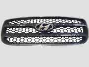 Karosserielüftungsgitter HYUNDAI SANTA FÉ II (CM) 2.2 CRDi 4x4 865612B010