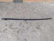 Zierleiste Windschutzscheibe Frontscheibe OPEL VECTRA C Estate 1.9 CDTI 000076556