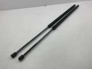 Heckklappe Gasdruckfeder links VW CADDY III Furgon (2KA, 2KH, 2CA, 2CH) 1.9 TDI 069950500