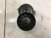 Riemenspanner CITROËN C5 III (RD_) 2.0 HDi 2981523