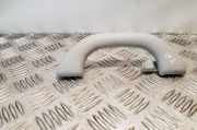 Griff Panoramadach VW Passat B7 Alltrack (36, B7) 1K0857607N