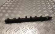 Kraftstoffzuführung LAND ROVER FREELANDER (L314) 2.0 Td4 4x4 0445214011