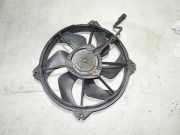 Elektrolüfter Citroen C4 Grand Picasso (U) 300000801