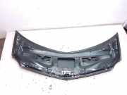 Motorhaube RENAULT MODUS / GRAND MODUS (F/JP0_) 1.4 (JP01, JP0J)