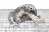 Radnaben vorne links TOYOTA AVENSIS Sedan (_T27_) 2.0 (ZRT272_) Bild Radnaben vorne links TOYOTA AVENSIS Sedan (_T27_) 2.0 (ZRT272_)