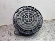 Türlautsprecher vorne links