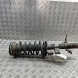 Stoßdämpfer hinten rechts LAND ROVER FREELANDER 2 (L359) 2.2 TD4 4x4 6H52-18080-AE