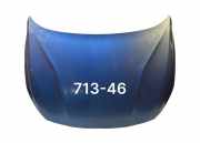 Motorhaube Volvo S60 II (134)