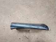 Türgriff rechts Mercedes-Benz S-Klasse (W221)