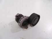 Riemenspanner RENAULT KADJAR (HA_, HL_) 1.5 dCi 110