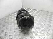 Federsatz BMW X1 (E84) 6851333