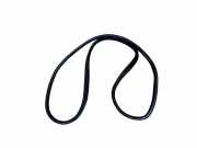 Türdichtung BMW X6 (E71, E72)