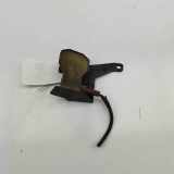 Antenne Dach Audi A3 Sportback (8V) 920391011