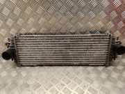 Ladeluftkühler Renault Trafic II Kasten (FL) 7700312903