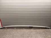 Dachgriff hinten links MERCEDES-BENZ GL (X166) GL 500 4-matic (166.873) A1668901093