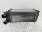 Ladeluftkühler PEUGEOT EXPERT Furgon (VF3A_, VF3U_, VF3X_) 1.6 HDi 90 16V 1440084580