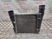 Ladeluftkühler Seat Exeo (3R) 8E0145805AA