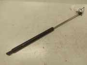 Heckklappe Gasdruckfeder links RENAULT LAGUNA II (BG0/1_) 1.9 dCi (BG08, BG0G) 8200003020C