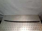 Kotflügelzierleiste hinten links