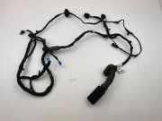 Kabel Tür vorne rechts BMW 2 Gran Coupe (F44) 220d 1408066522213