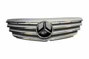 Vorderer oberer Gitter MERCEDES-BENZ E (W211) E 200 CDI (211.007) A1698800783