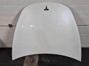 Motorhaube TESLA MODEL 3 EV AWD 1081390E0C