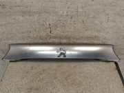 Kennzeichenbeleuchtung PEUGEOT 4007 (GP_) 2.2 HDi 5817A064