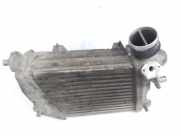 Ladeluftkühler Audi A8 (4E) 4E0145805J