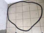 Dichtung für Koffer-/Laderaumklappe BMW X5 (E70)