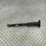 Stoßdämpfer hinten rechts ALFA ROMEO STELVIO (949_) 2.0 Q4 50559657