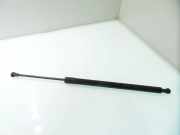 Heckklappe Gasdruckfeder links RENAULT MODUS / GRAND MODUS (F/JP0_) 1.5 dCi (JP0G, JP0H) 21050803