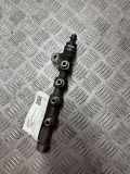 KRAFTSTOFFVERTEILER EINSPRITZLEISTE VERTEILERROHR OPEL INSIGNIA A (G09) 2.0 Biturbo CDTI 015