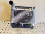 Ladeluftkühler TOYOTA YARIS (_P1_) 1.4 D-4D (NLP10_)