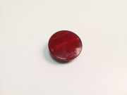 Rückstrahler Nissan X-Trail I (T30)