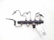 Einspritzleiste Nissan Qashqai II (J11) 175213876R