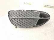 Gitter Grill vorne links MERCEDES-BENZ E T-Model (S212) E 250 CDI / BlueTEC (212.203, 212.204) 2128852722 A2128851922