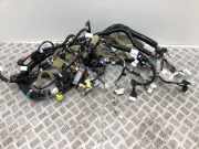 Kabelbaum Innenverkleidung NISSAN QASHQAI II (J11, J11_) 1.5 dCi 240104ER2E