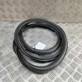 Türdichtungsgummi vorne links AUDI A3 Limousine (8VS, 8VM) S3 quattro 8V5831721A