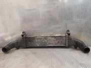 Ladeluftkühler Mercedes-Benz C-Klasse T-Modell (S202) 2025001100
