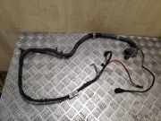 Kabelbaum VW PASSAT B7 (362) 2.0 TDI 3C2971111T