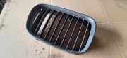 Gitter Grill vorne links BMW 5 Touring (E39) 530 i 8159312