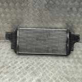 Ladeluftkühler MERCEDES-BENZ GL (X164) GL 420 CDI 4-matic (164.828) A1645000000