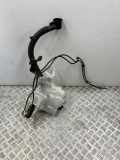 Fensterwaschtank FORD FOCUS IV (HN) 1.0 EcoBoost JX7B17B613AF
