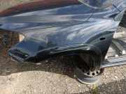 Kotflügel vorne links TOYOTA RAV 4 III (_A3_) 2.2 D 4WD (ALA30_)