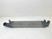 Ladeluftkühler Ford Focus II Turnier (DA, DS, FFS) 3M5H9L440AE
