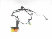 Kabel Tür vorne rechts OPEL Crossland X (P17) (P17) 1.6 39102635