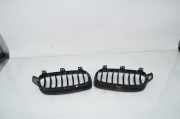 Vorderer oberer Gitter BMW 3 Touring (F31) 330 d 7260498