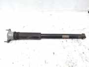 Stoßdämpfer hinten links MERCEDES-BENZ A (W177) A 200 (177.087) A1773206600