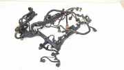 Motor Kabelbaum FIAT 500X (334_) 2.0 D Multijet 4x4 55270504
